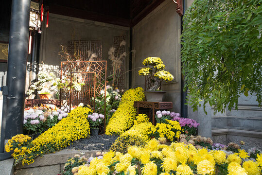 菊花展區(qū)