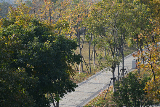 上海蘇河半馬公園