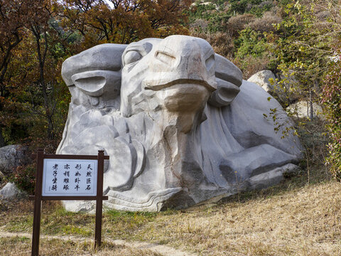 青島太清宮