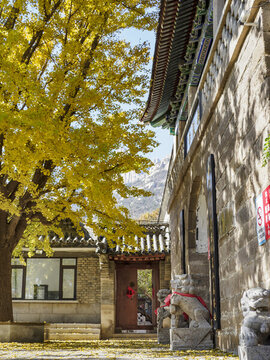 青島華嚴寺