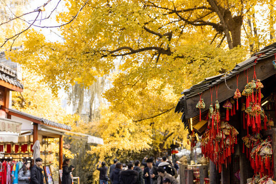 銀杏