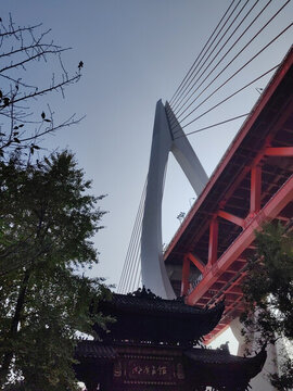 仰望東水門橋