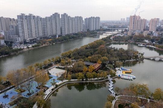 荊河公園冬景