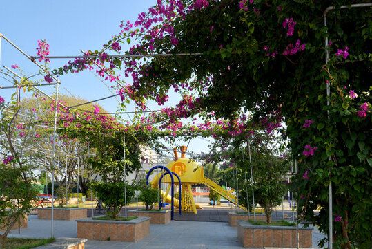 美麗新農(nóng)村