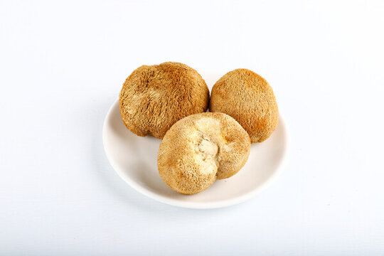 養(yǎng)生猴頭菇