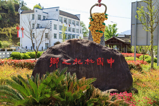 中國枇杷之鄉(xiāng)