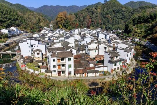 婺源菊徑村