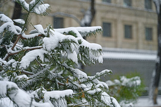 北京第一場(chǎng)雪