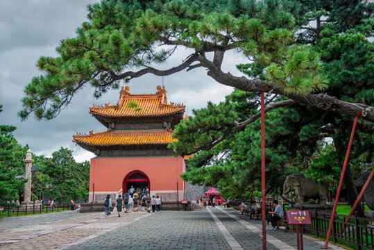 清昭陵迎客松