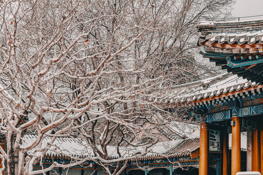 頤和園雪景