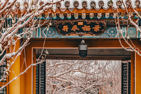 頤和園雪景
