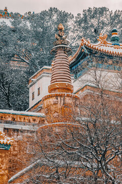 頤和園雪景