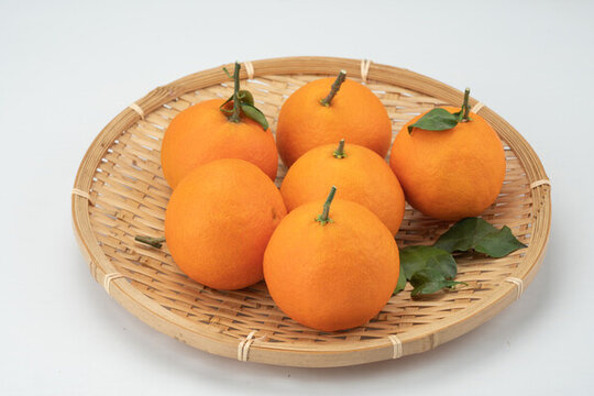 果凍橙