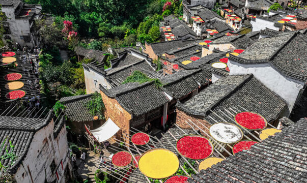 篁嶺曬秋