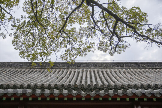 建筑屋頂