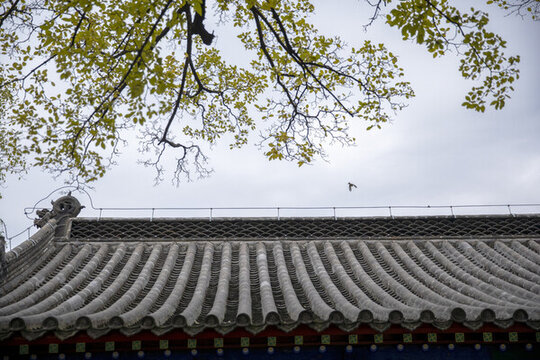 古建筑房頂