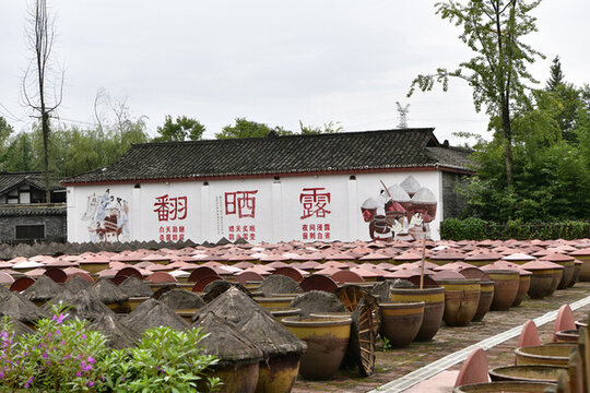豆瓣曬場(chǎng)