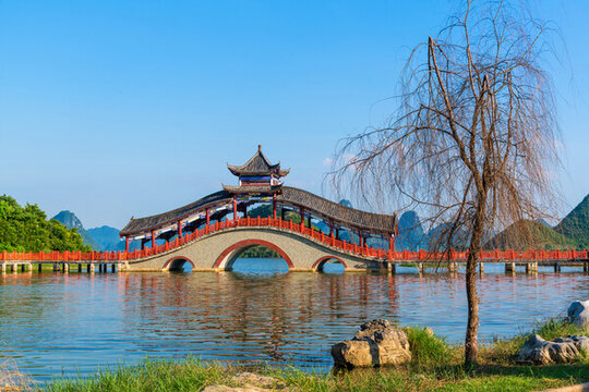 公園拱橋枯樹