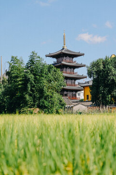 寧海廣德寺