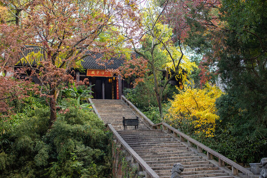 蘇州虎丘