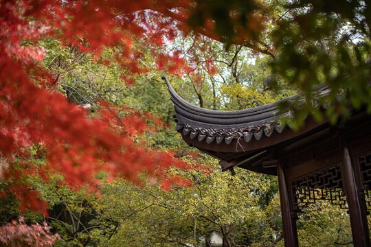 虎丘風景區(qū)