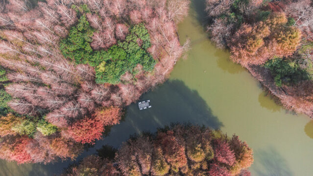航拍秋天的公園