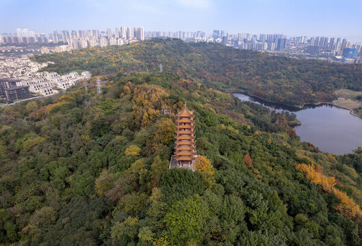 重慶照母山森林公園