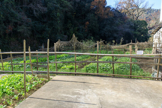 農(nóng)家菜園