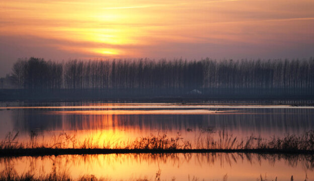 夕陽(yáng)