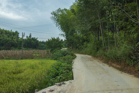 農(nóng)村公路
