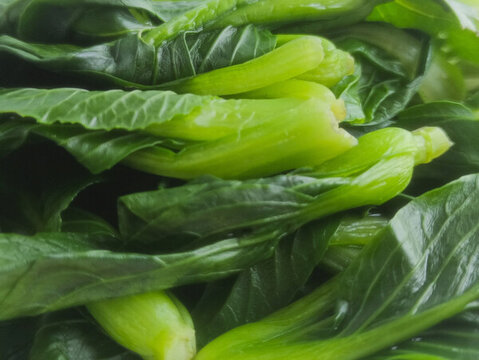 一盤青菜素材