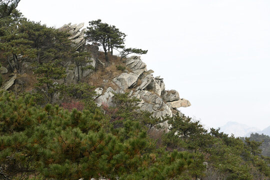 山東臨沂蒙山群龜探海景點(diǎn)
