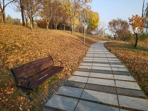 公園石板小路