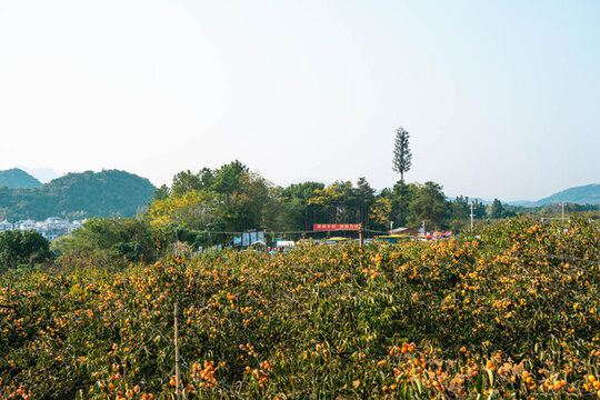 恭城紅巖村停車場