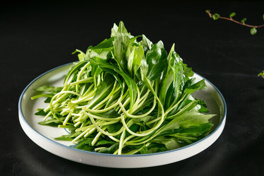 清炒馬蘭頭