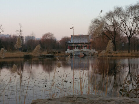 牡丹園冬景