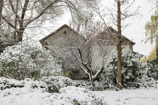 濟南的冬天大明湖雪景