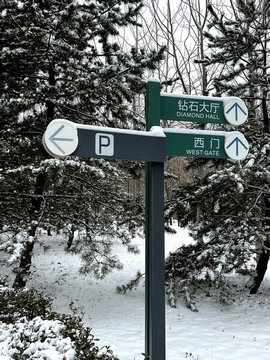 積雪
