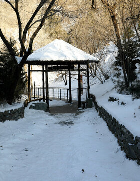 山林雪韻