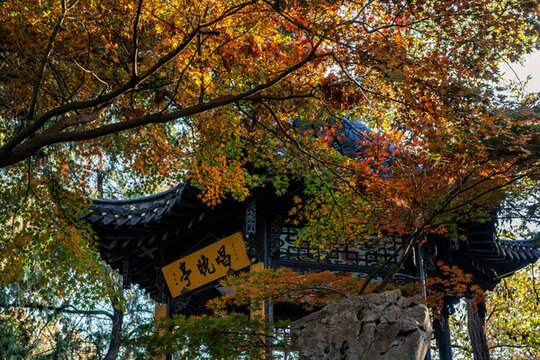 江蘇淮安清晏園秋天風(fēng)光