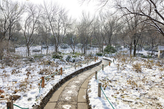 濟(jì)南泉城公園雪景