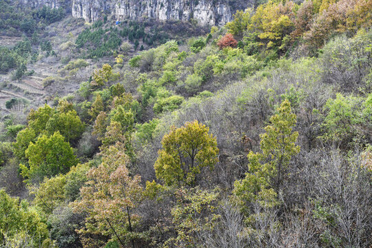 山東棗莊山亭區(qū)葫蘆套景區(qū)秋景