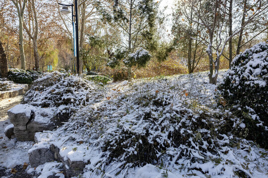 濟南百花公園雪景