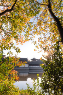 江蘇江陰神華寺秋色