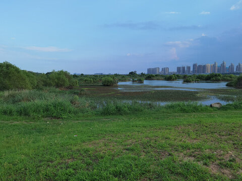 河邊草地