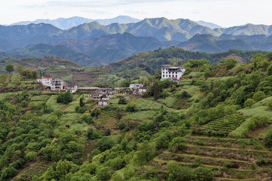 大山深處有人家
