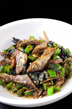 野生刁子魚