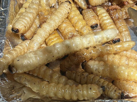 油炸蟲子