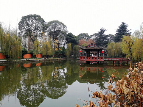 公園水景