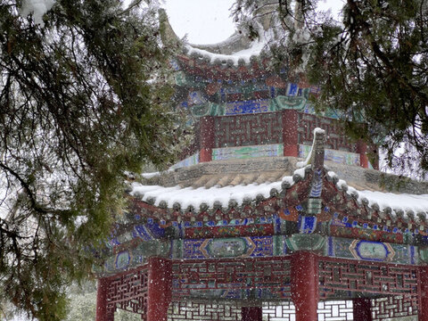 洛陽白馬寺雪景